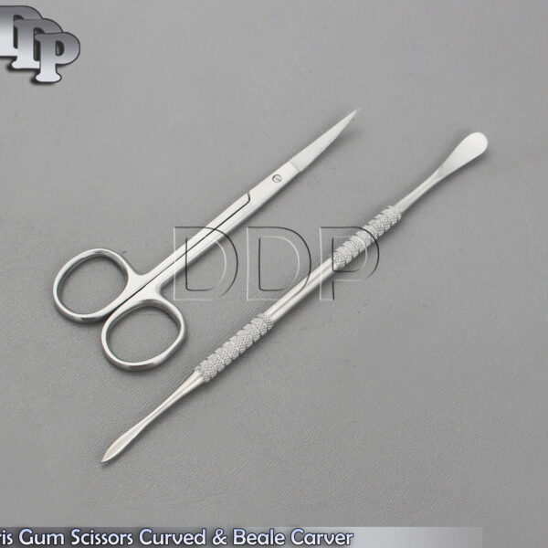 Dental Iris Gum Scissor Curved, Beale Carver, Dental Surgical Instruments New