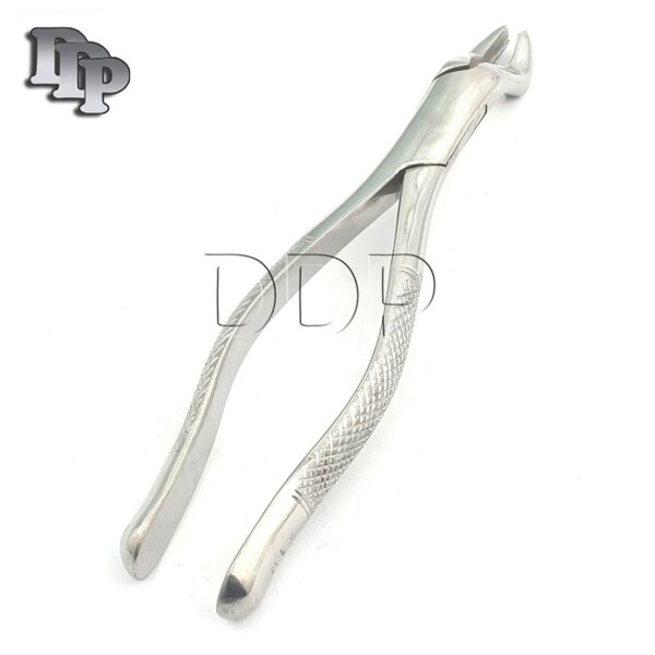 Extracting Forceps # 67A Stainless Steel Surgical Dental Instruments