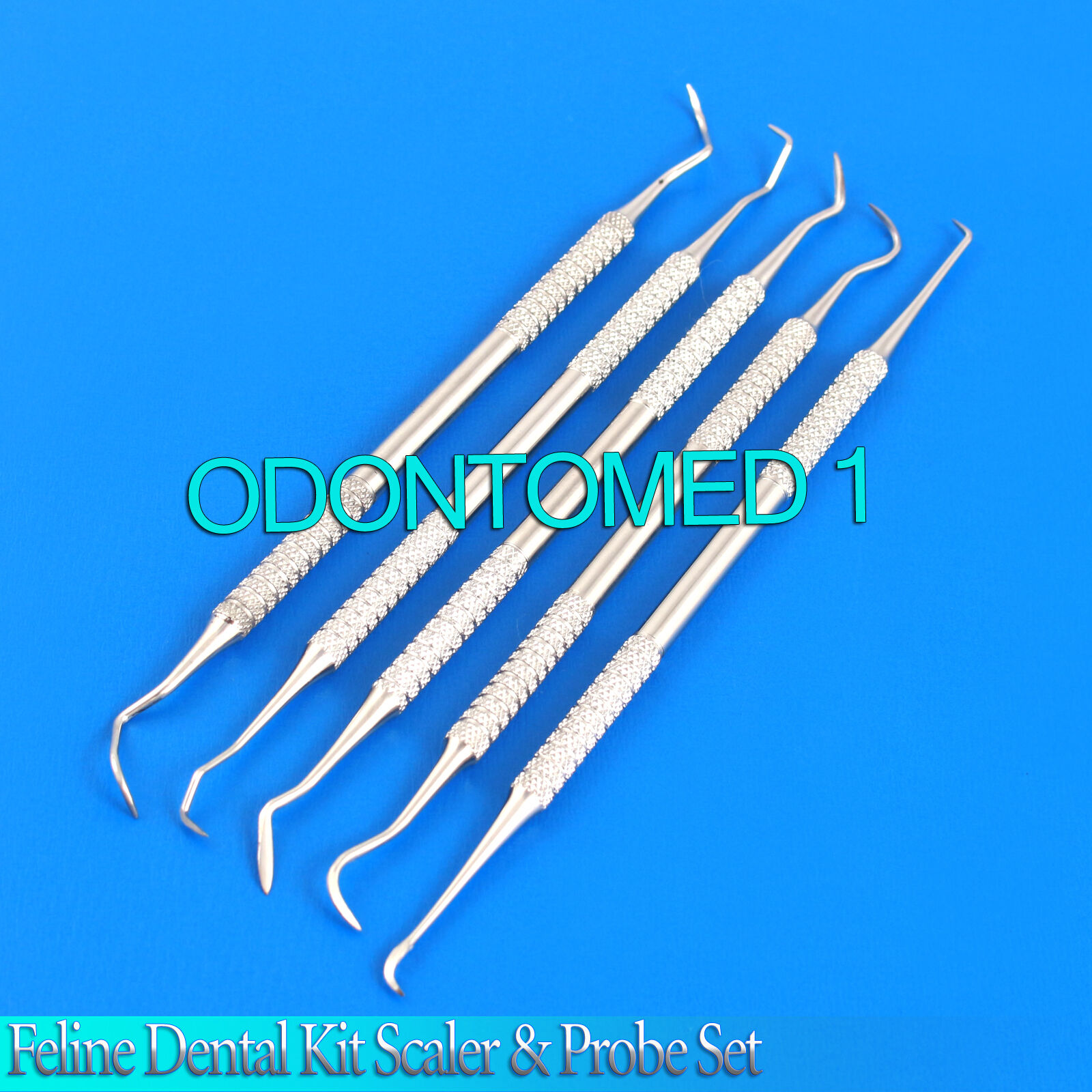 Feline-Dental-Kit-Scaler-Probe-Small-Animal-Dental-Feline-Small-Dogs-PR-260-112046992758