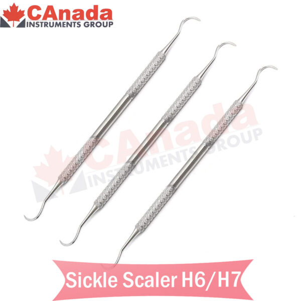 Hygienist Sickle Scaler H6/H7 Veterinary Tooth Scraper Dental Diagnostic Scaler