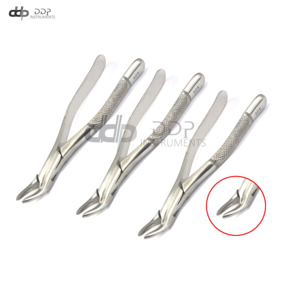 Lot Of 3 Pieces Extracting Forceps # 101 Surgical Dentist Instruments