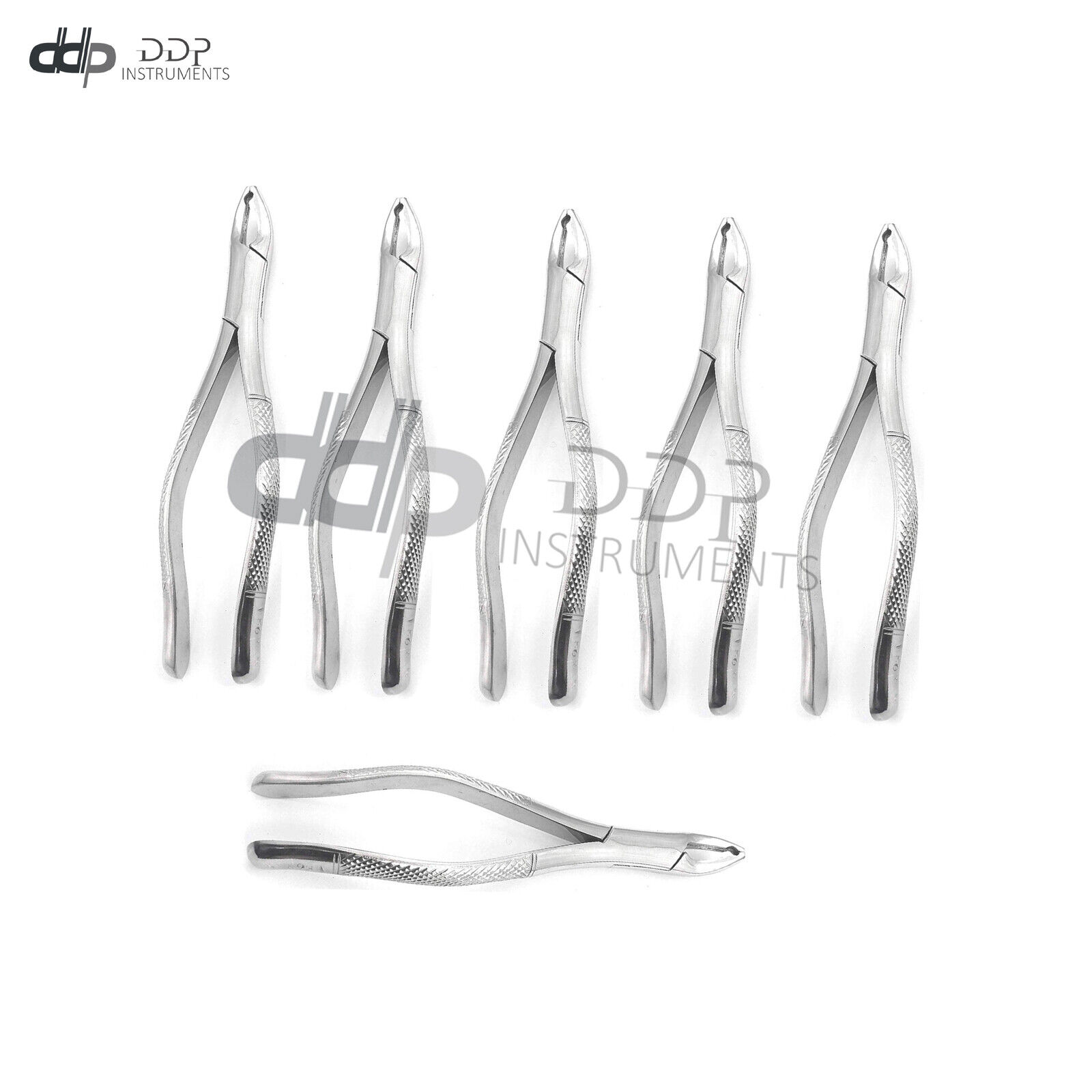 Lot-Of-6-Pieces-Extracting-Forceps-151XAS-Dental-Surgical-Instruments-373503403908