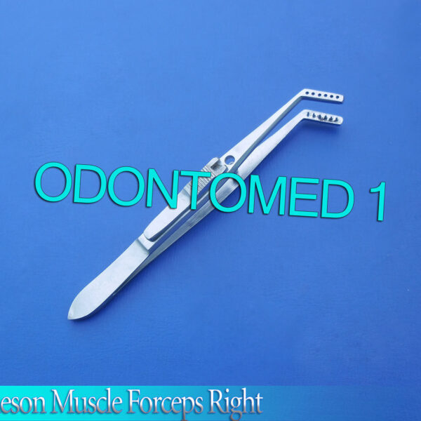 O R GRADE JAMESON MUSCLE FORCEPS W/SIDE LOCK 7 TEETH SURGICAL INSTRUMENTS