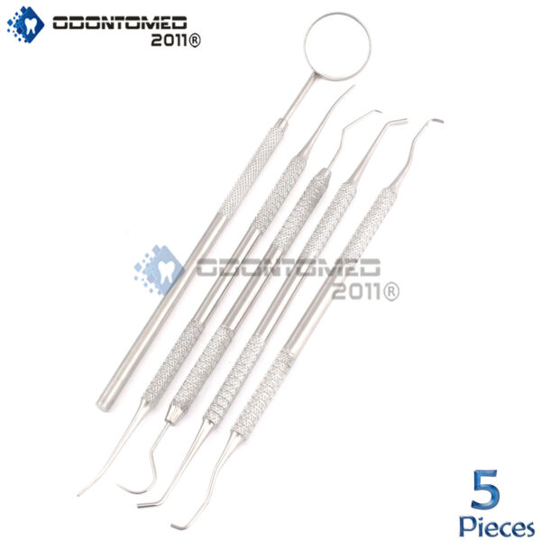 ODM Basic Dentist Tool Stainless Steel Tarter Pick Probe Set Remover (5 Pcs)