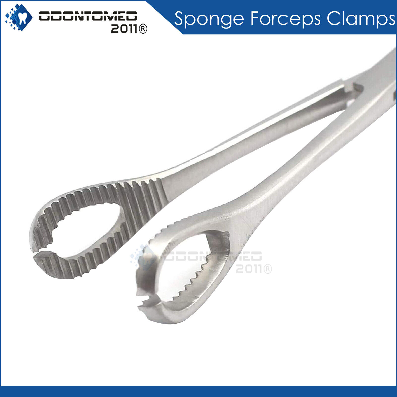 Stainless-Steel-Ear-Lip-Navel-Nose-Tongue-Sponge-Forceps-Clamp-Body-Piercing-121138002718