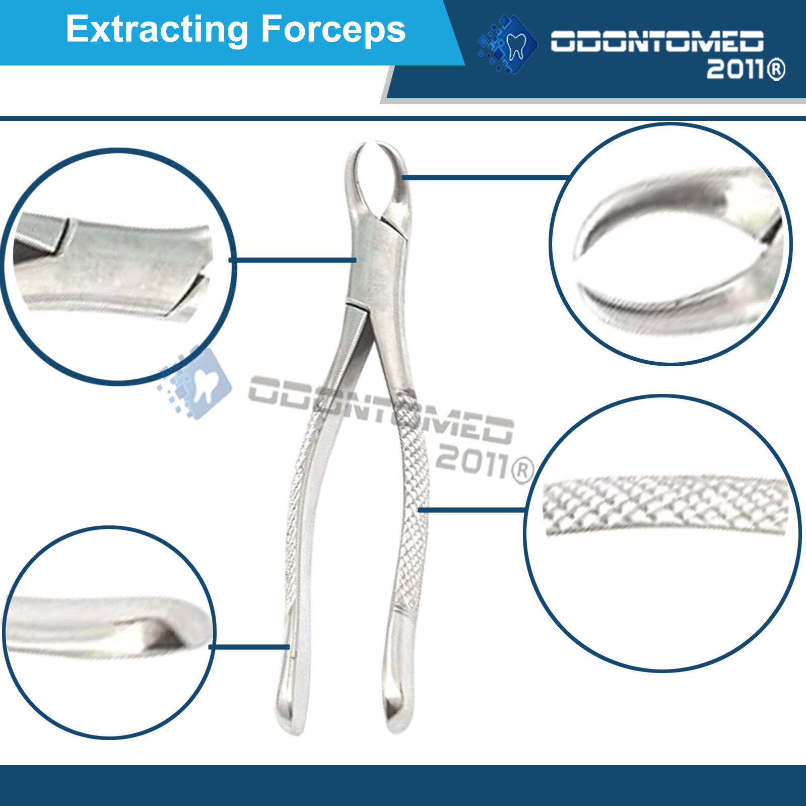 Tooth-Extracting-Forceps-27-Surgical-dental-instruments-121332736038-2