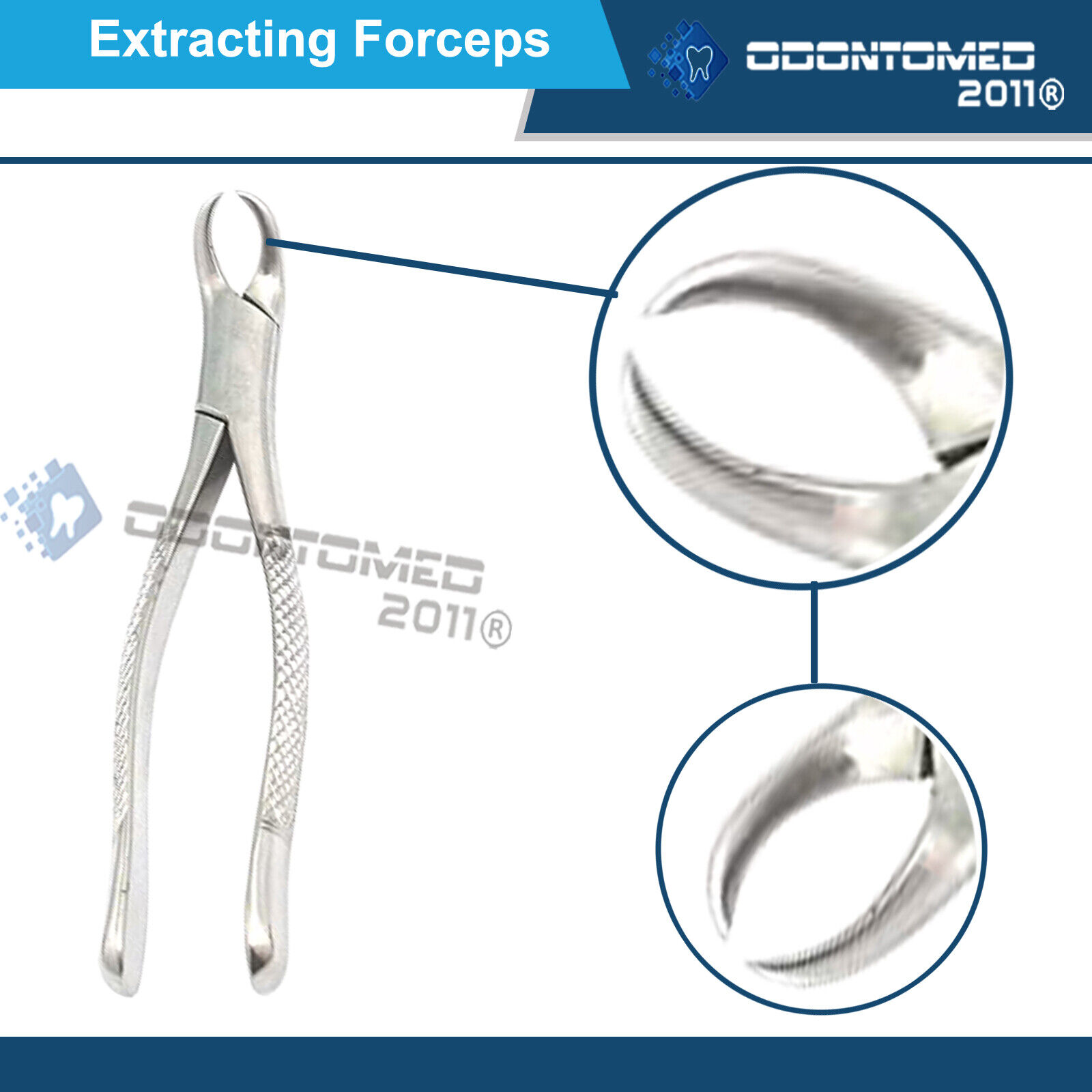 Tooth-Extracting-Forceps-27-Surgical-dental-instruments-121332736038-3