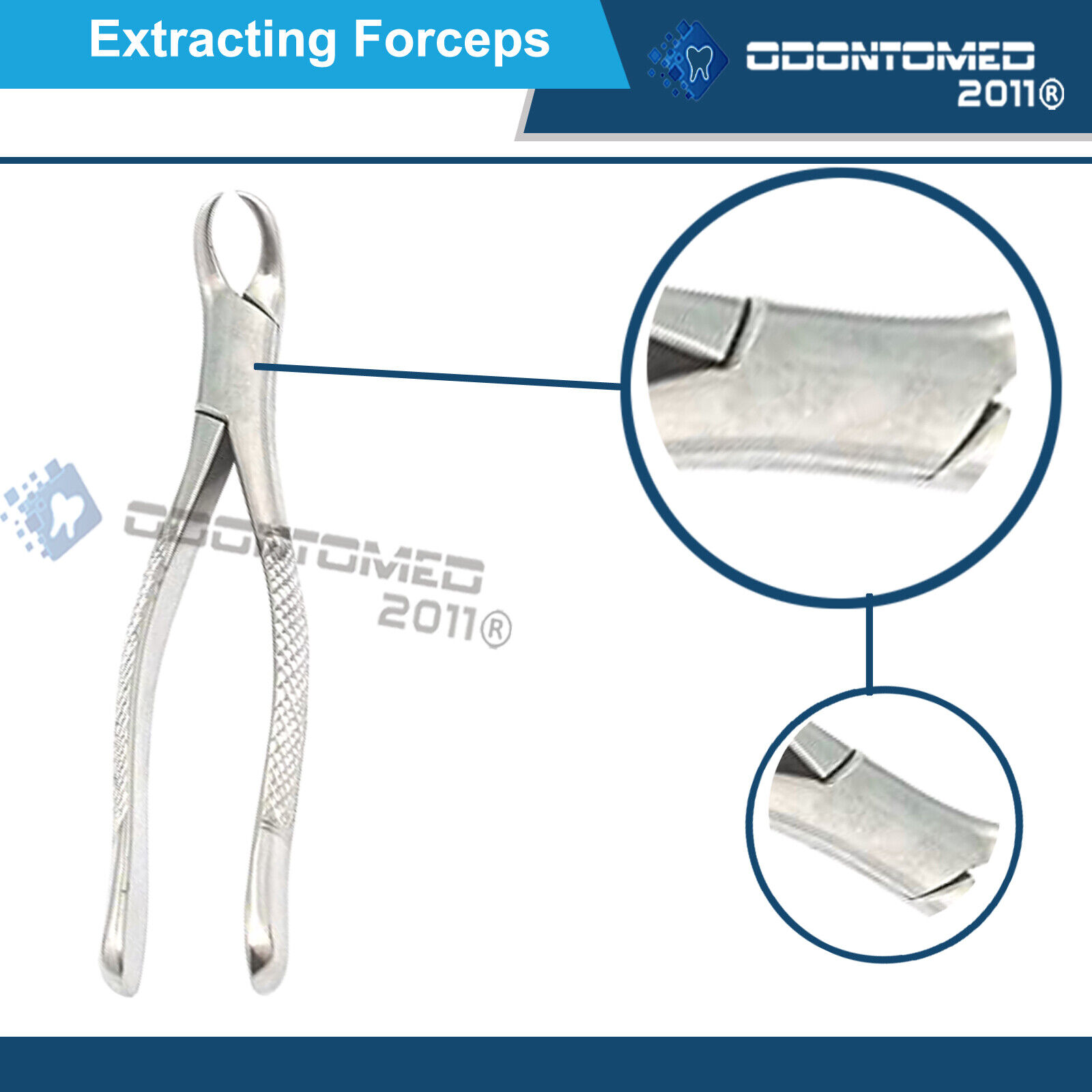 Tooth-Extracting-Forceps-27-Surgical-dental-instruments-121332736038-4