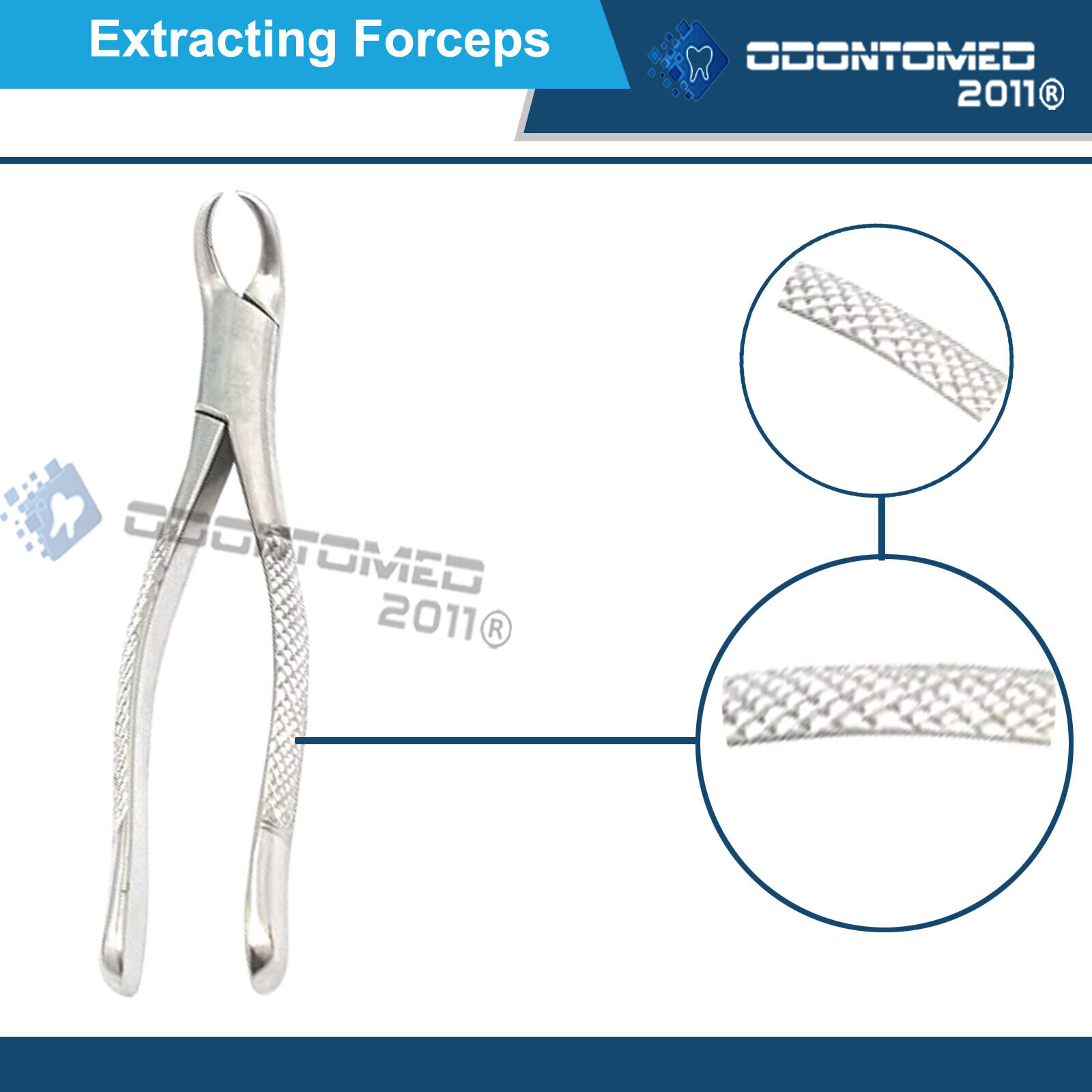 Tooth-Extracting-Forceps-27-Surgical-dental-instruments-121332736038-5