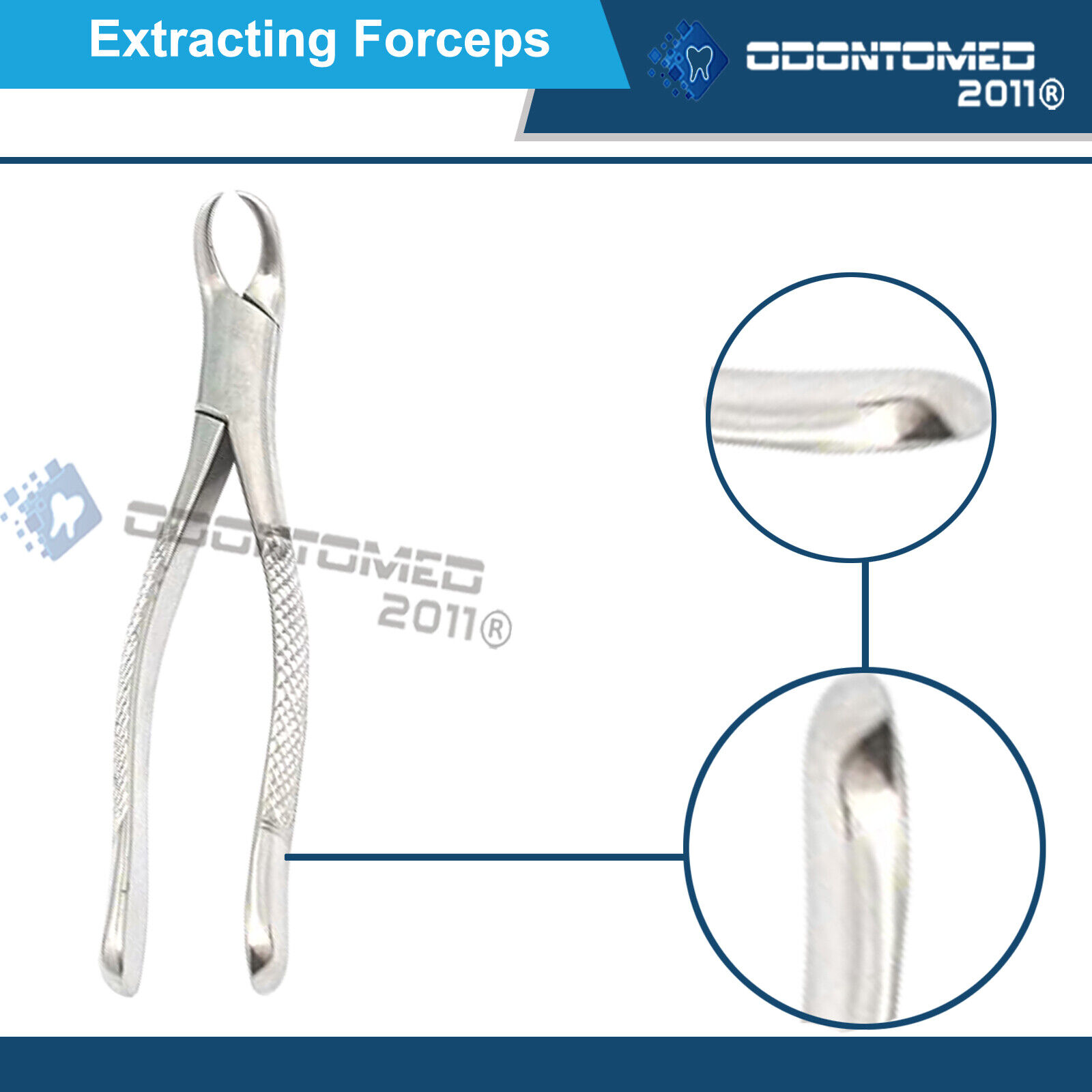 Tooth-Extracting-Forceps-27-Surgical-dental-instruments-121332736038-6