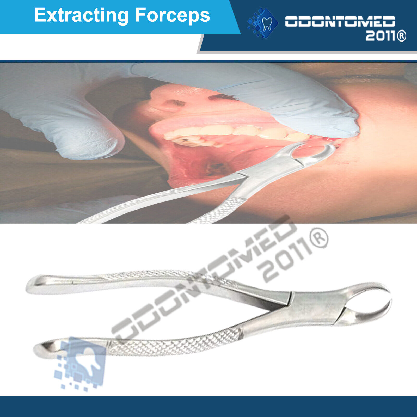 Tooth-Extracting-Forceps-27-Surgical-dental-instruments-121332736038