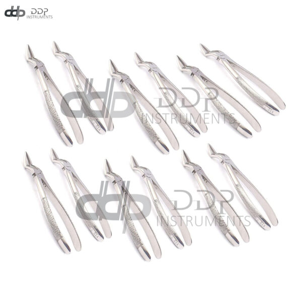 12 Pieces Of Extracting Forceps # 51A Surgical Dentist Instruments