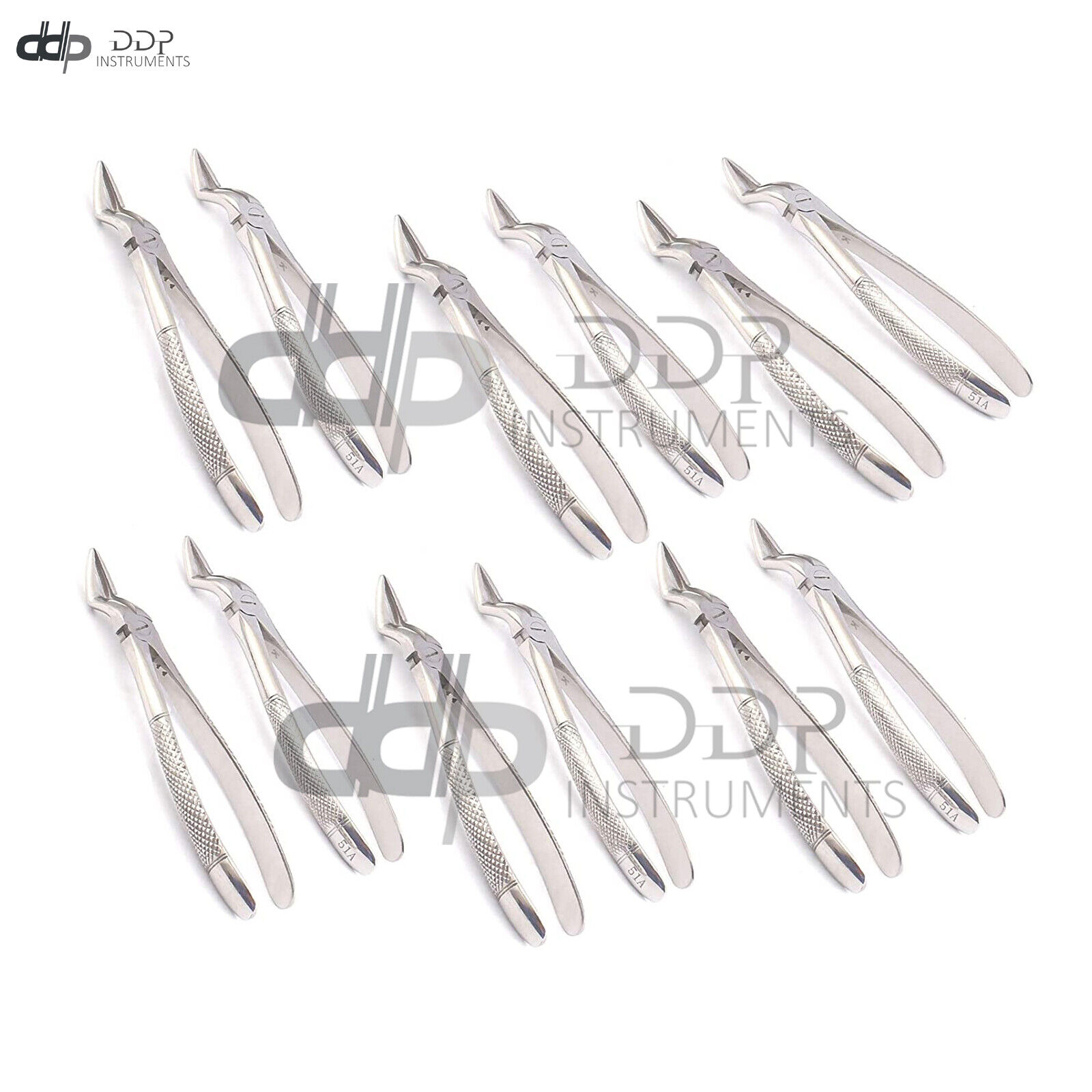 12-Pieces-Of-Extracting-Forceps-51A-Surgical-Dentist-Instruments-373498843439