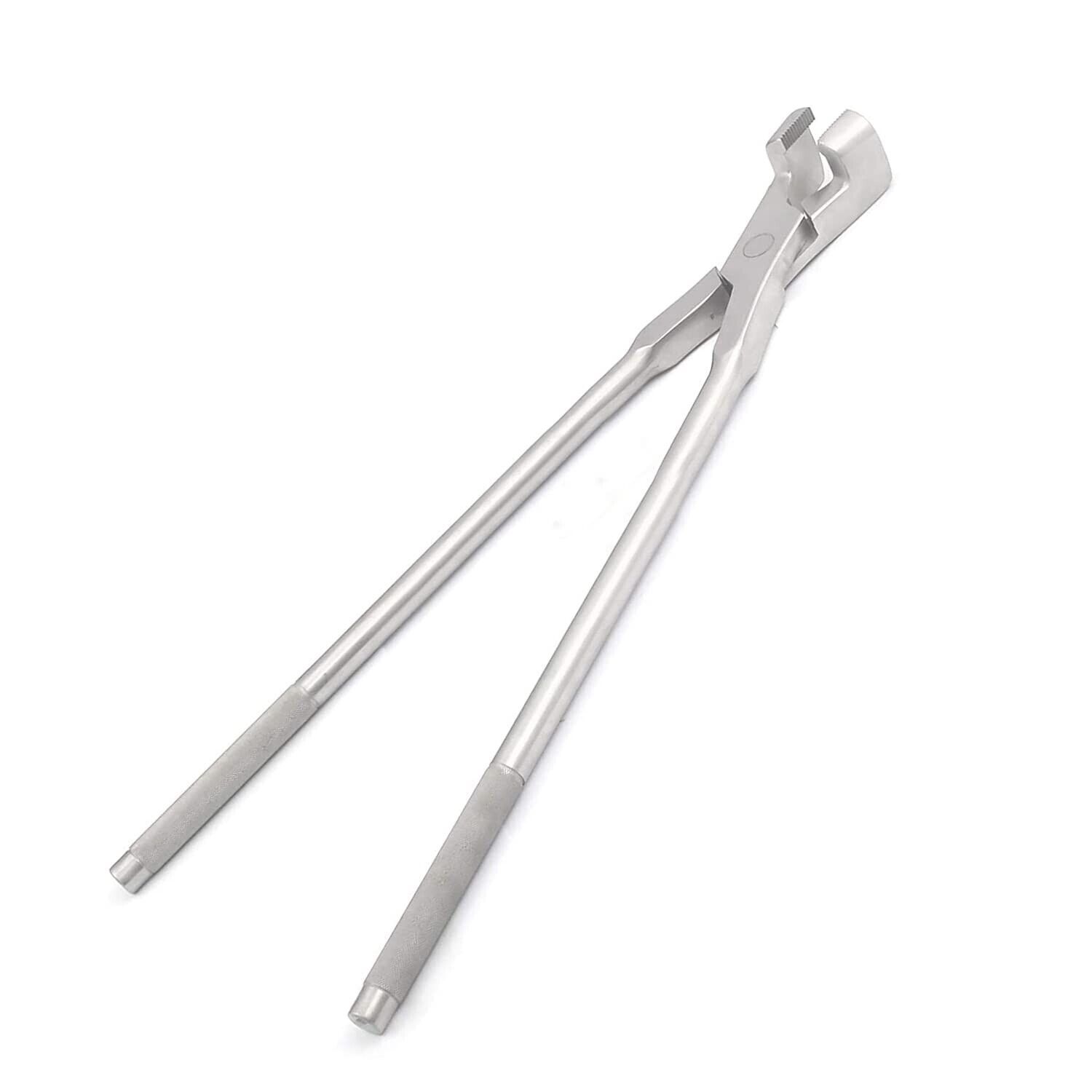 16-Serrated-Jaw-Forcep-Hand-Crafted-Stainless-Steel-DentalEquine-DDP-V0022-374725016119