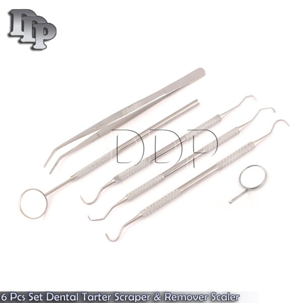6 Pcs Set Dental Tarter Scraper & Remover Scaler Probe Explorer Mirror-PR-0014