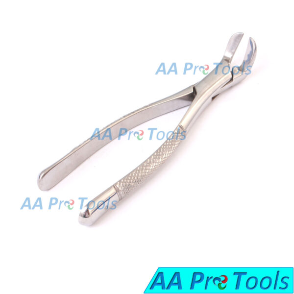 Dental Tooth Extraction Forceps #6 Dentist Lab Tools