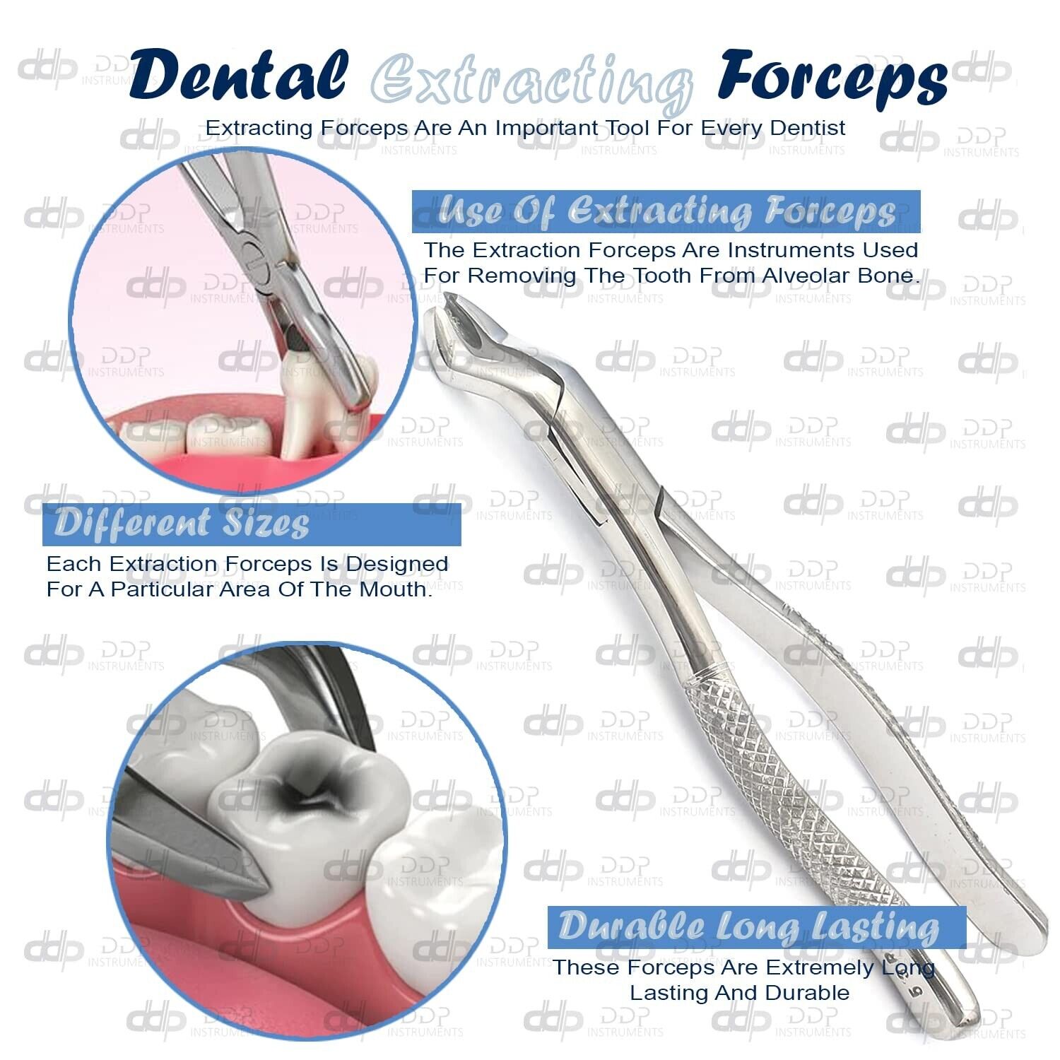 Lot-Of-50-Pieces-Dental-Extracting-Forceps-53R-Surgical-Dental-Instruments-133694322899-2