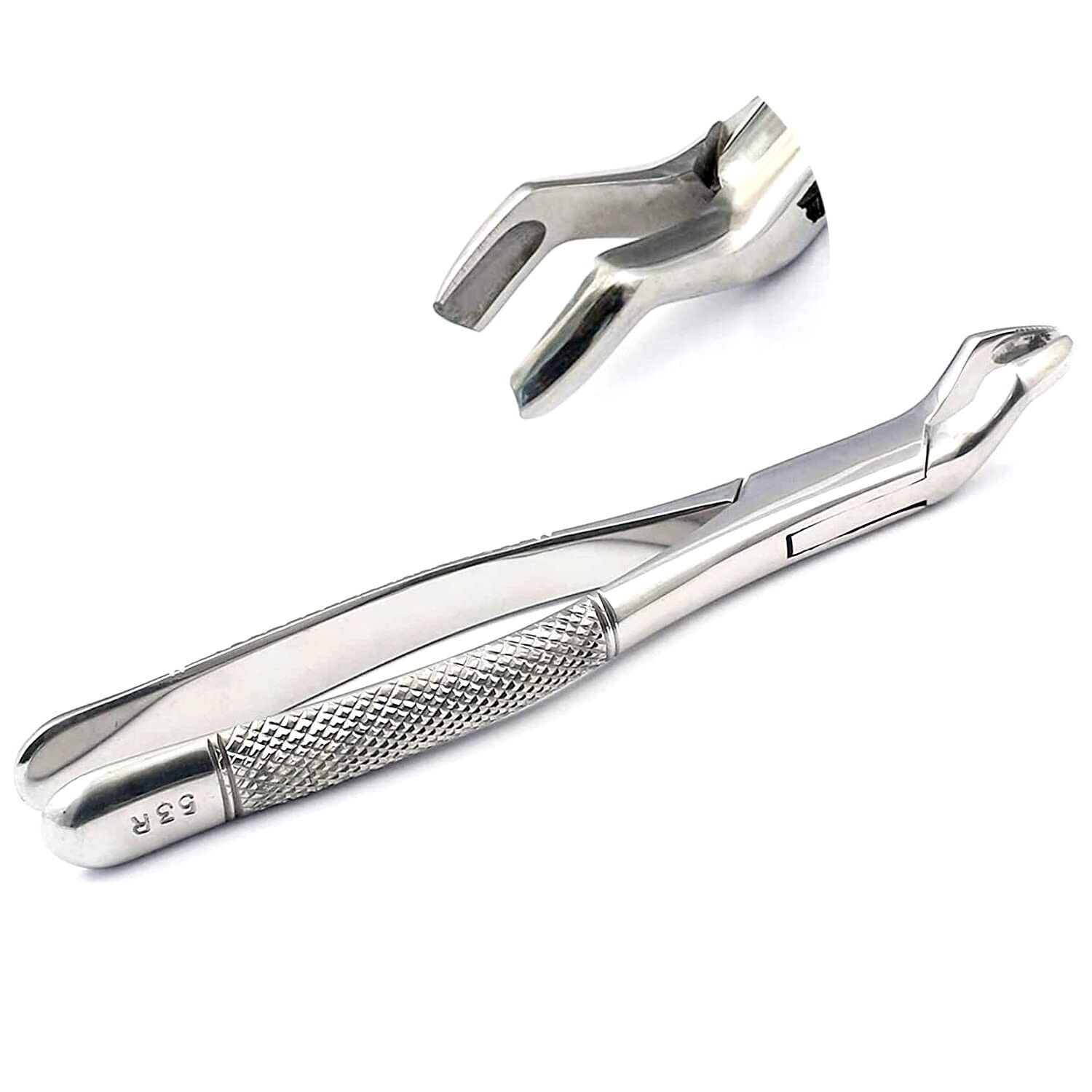 Lot-Of-50-Pieces-Dental-Extracting-Forceps-53R-Surgical-Dental-Instruments-133694322899-5