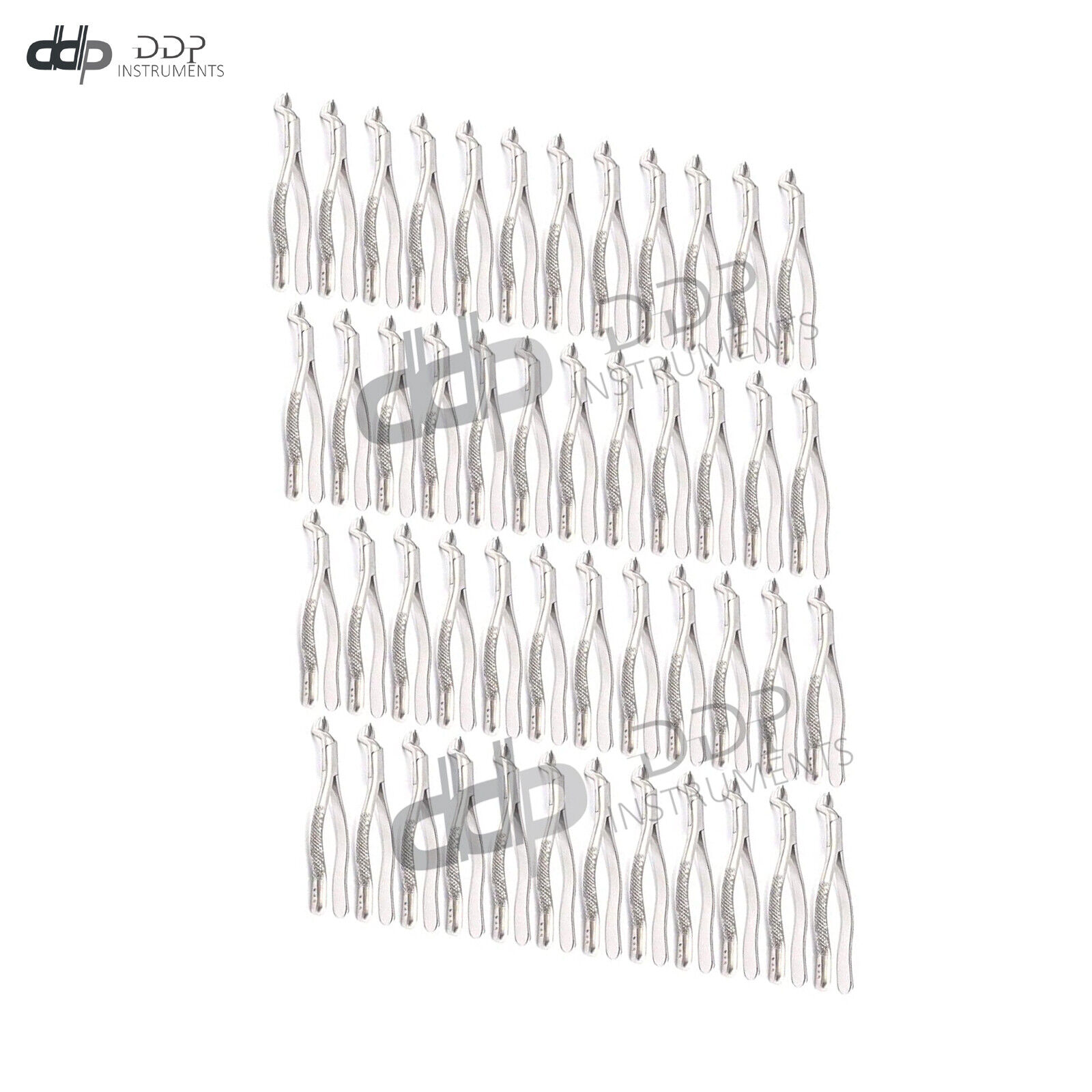Lot-Of-50-Pieces-Dental-Extracting-Forceps-53R-Surgical-Dental-Instruments-133694322899