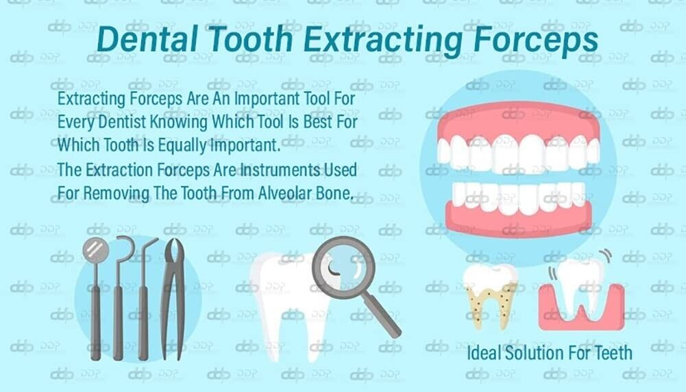 Pack-Of-2-Pieces-Extracting-Forceps-288-Surgical-Dental-Instruments-121475963039-3