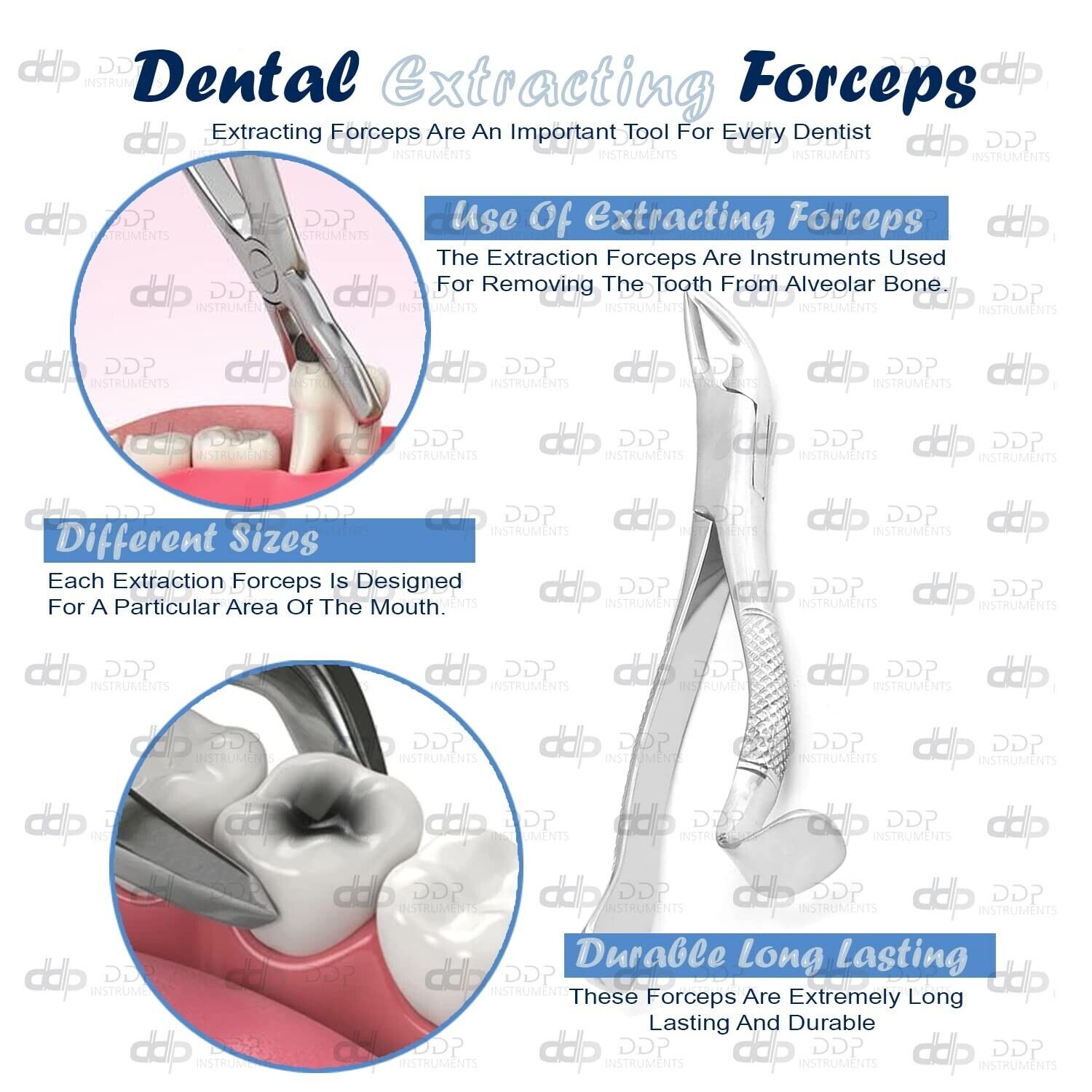 Pack-Of-2-Pieces-Extracting-Forceps-288-Surgical-Dental-Instruments-121475963039-4