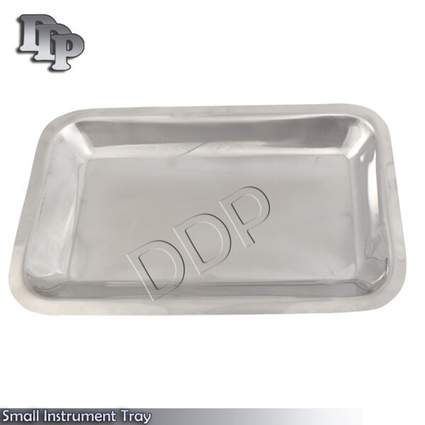 Small Instrument Tray Stainless Tattoo/Piercing Medical 10X6X3/4