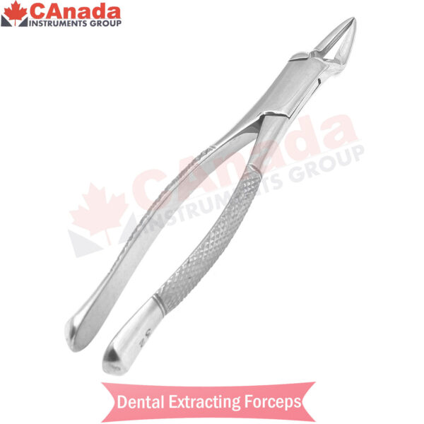 Tooth Extracting Forceps # 32 Surgical Dental Instruments